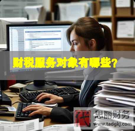 財(cái)稅服務(wù)對(duì)象有哪些？