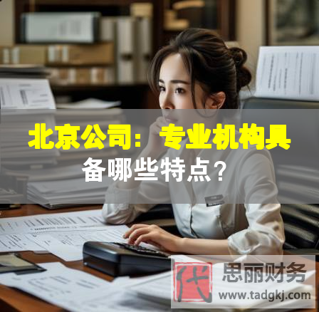 北京公司：專業(yè)機構具備哪些特點？