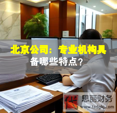 北京公司：專業(yè)機構具備哪些特點？