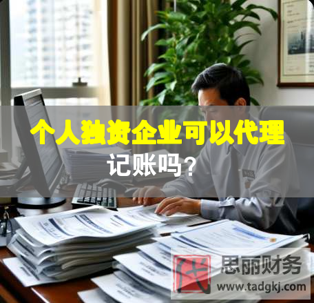 個(gè)人獨(dú)資企業(yè)可以代理記賬嗎？