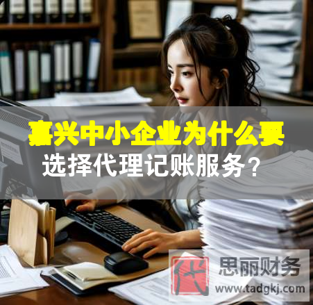嘉興中小企業(yè)為什么要選擇代理記賬服務(wù)？