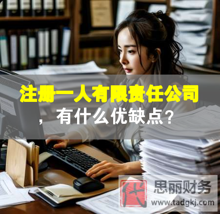 注冊一人有限責任公司，有什么優缺點？