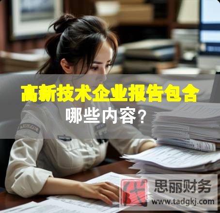 高新技術企業報告包含哪些內容？
