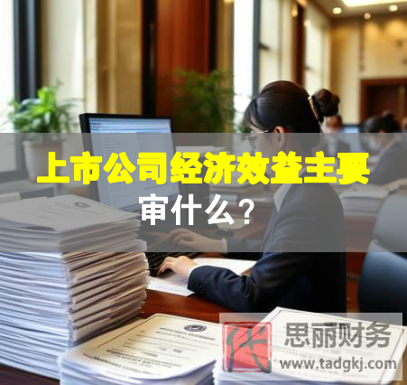上市公司經濟效益主要審什么？