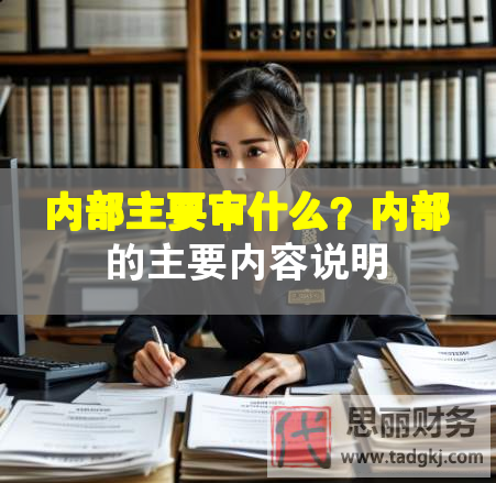 內部主要審什么？內部的主要內容說明